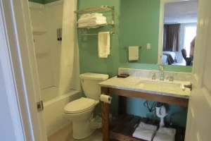 green bathroom with a adjoining room in an inn