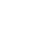 snowflake icon